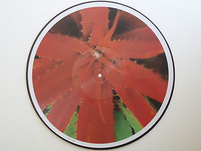 Jejune – This Afternoons Malady LP Jejune – This Afternoons Malady – Vinyl (LP, Album, Picture