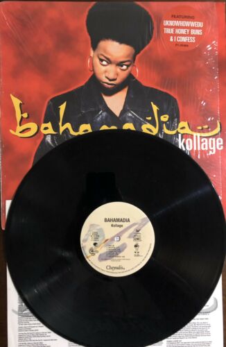 名作 Bahamadia アルバム kollage LPレコード 洋楽 - www.mgptt.ma