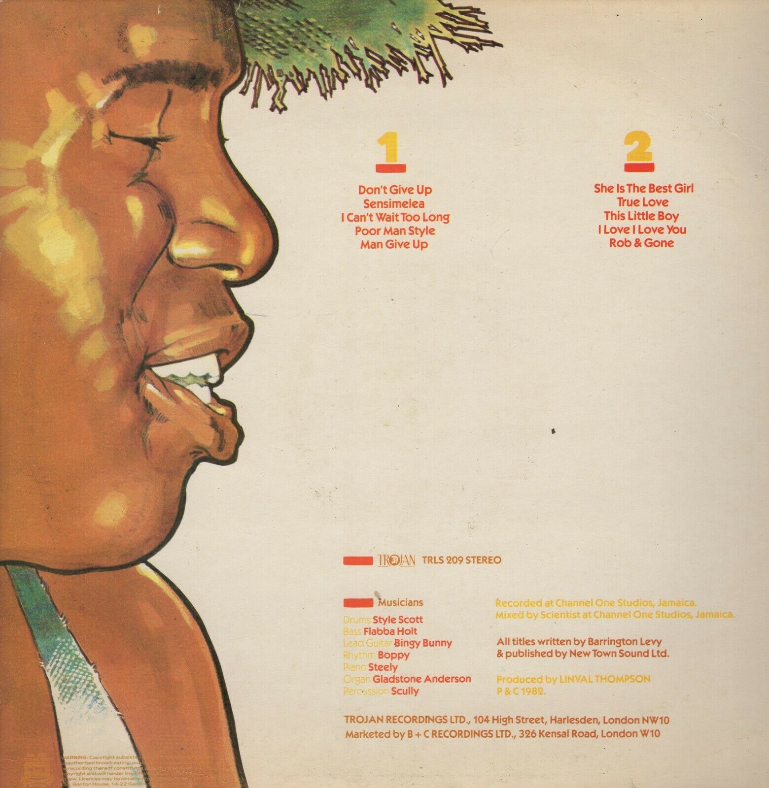 roots-vinyl-guide