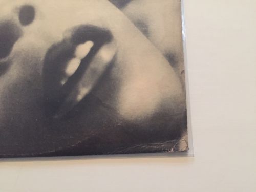 Roots Vinyl Guide