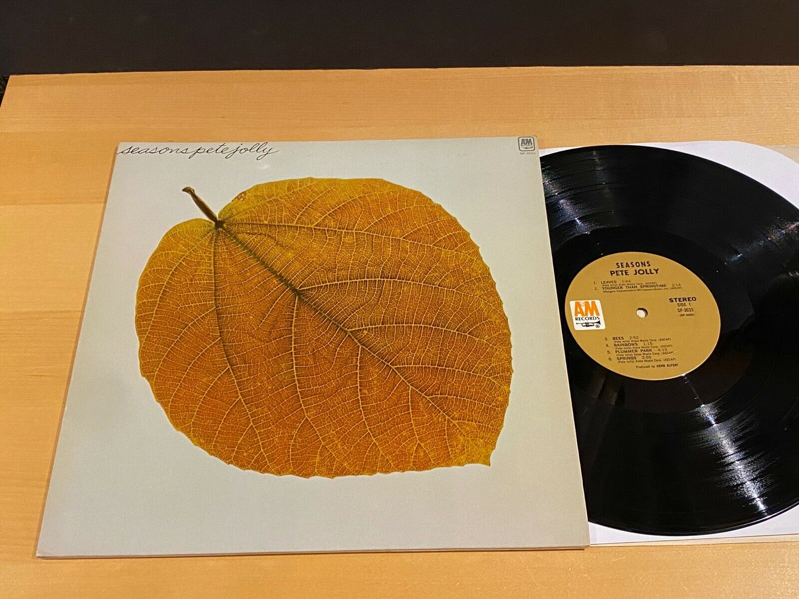 roots-vinyl-guide