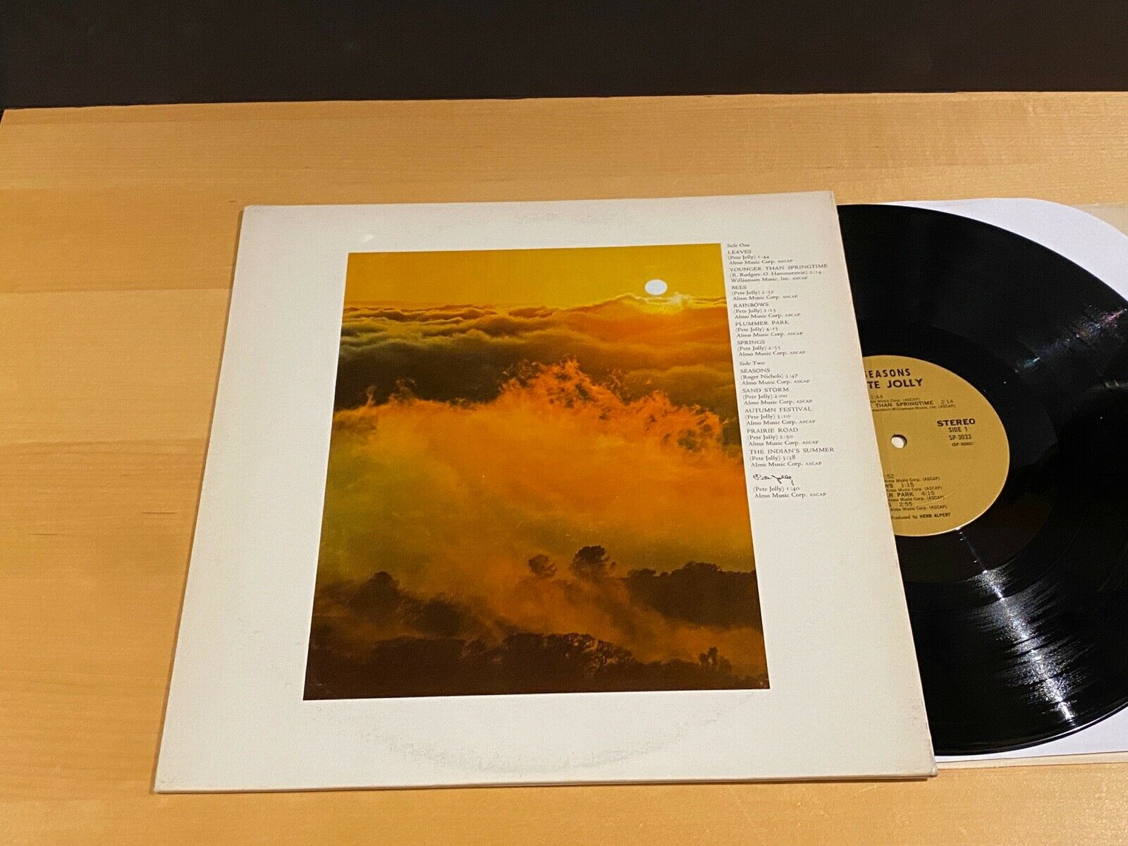 roots-vinyl-guide