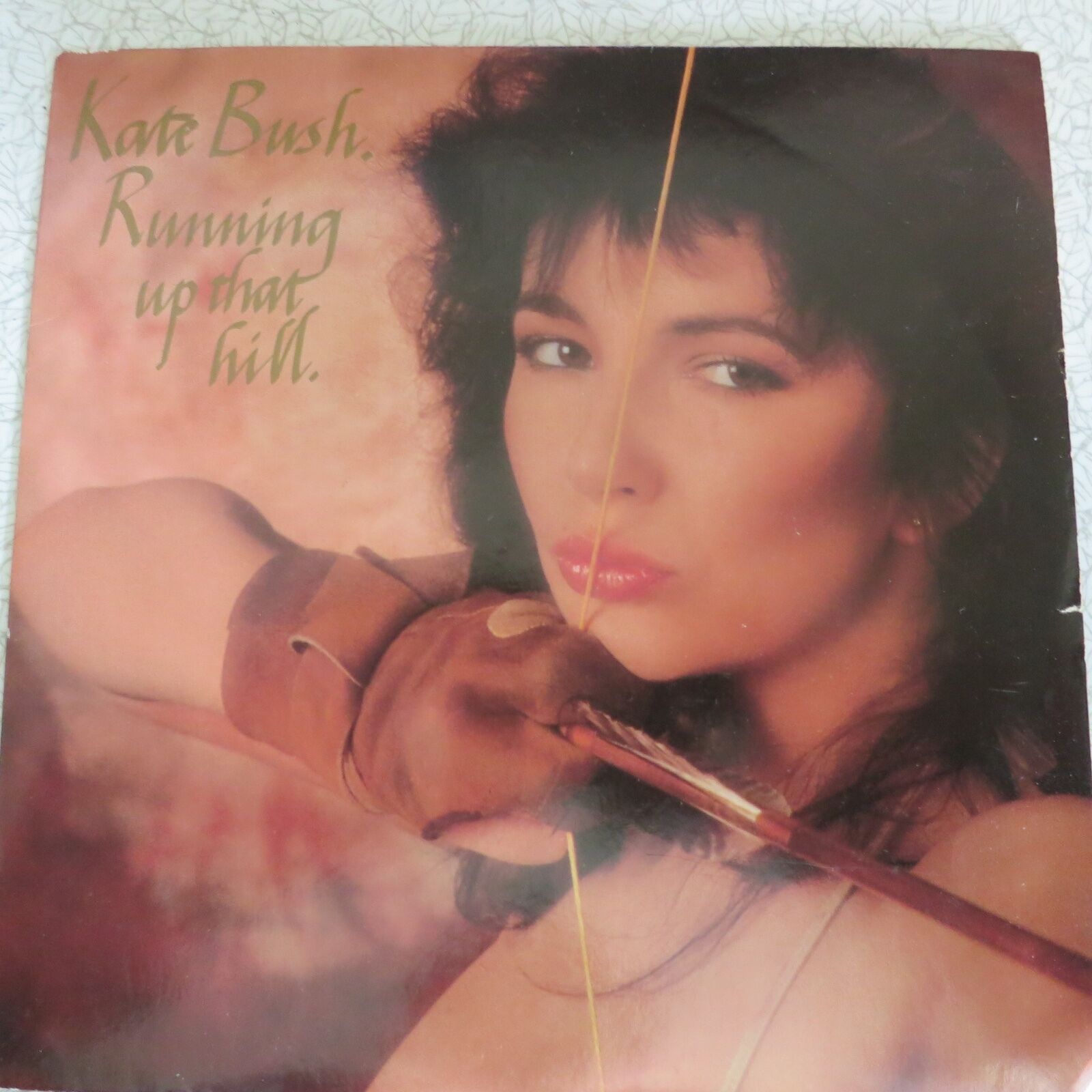 Kate Bush Running Up That Hill Annee Roots Vinyl Guide