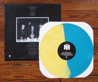 【LP】Mr.T Experience / ROAD TO RUIN The Mr T Experience – Road To Ruin – Vinyl (Yellow, 180g