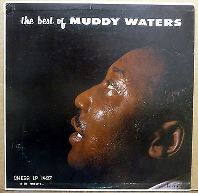 Muddy waters net worth picture