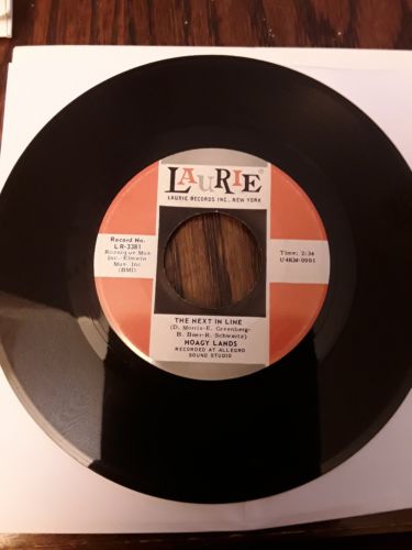 Roots Vinyl Guide Have you seen someone covering hoagy lands? roots vinyl guide