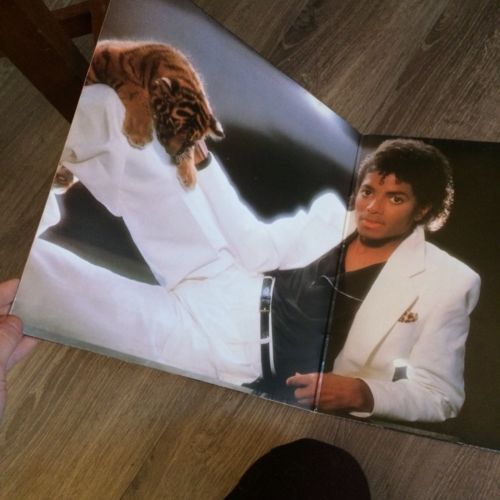 michael jackson thriller album tiger