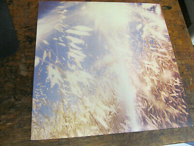 Roots Vinyl Guide Songs played include magic please and on the morning. roots vinyl guide