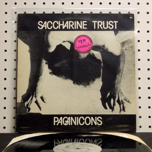 Saccharine Trust Paganicons Rare beachsurvey