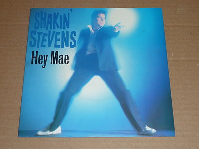 英7” Shakin Stevens Hey Mae / I Guess I Was A Fool SEPC8573PROMO EPIC プロモ /00080 7