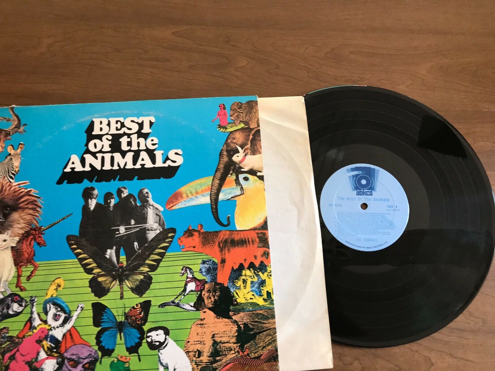 Roots Vinyl Guide