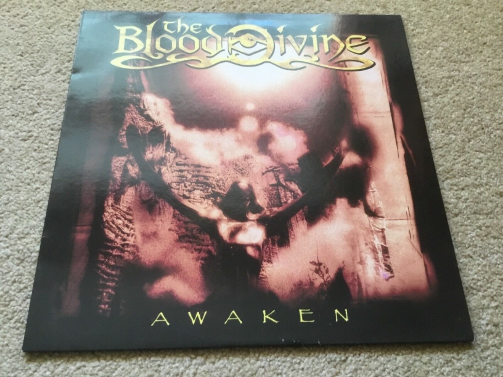 英、欧LP Blood Divine Awaken VILELP555 Peaceville /00260 LP BLOOD DIVINE Awaken VILELP555 Peaceville UK & EUR | eBay