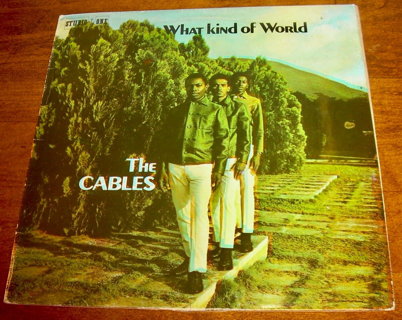 Cables- What Kind Of World Studio One