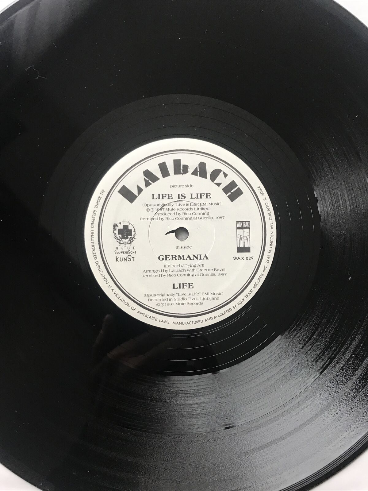 Roots vinyl guide
